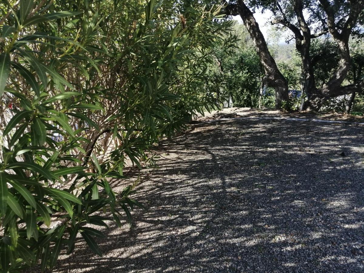 Dans Domaine Prive * Frejus