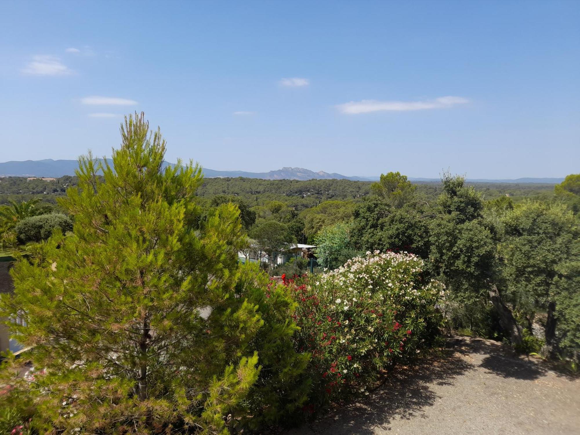Dans Domaine Prive * Frejus